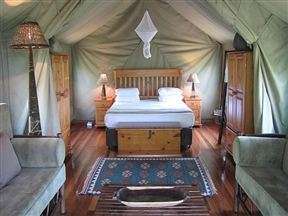 Jackalberry Ridge Luxury Tent Accommodation 6 - 13 October 2017