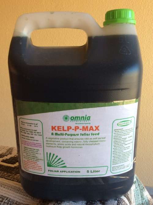 KELP-P-MAX : 5 Liters of Ascophyllum nodosum Kelp Extract that provides 1,250 Liters of Plant food