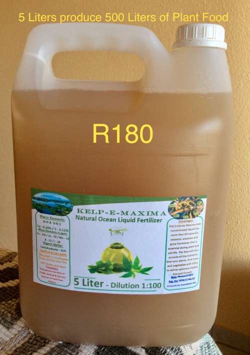 Kelp - 5 Lt (Ecklonia Maxima) concentrated Nutrient Liquid - 5 Lt produce 500 Litres of Plant Food