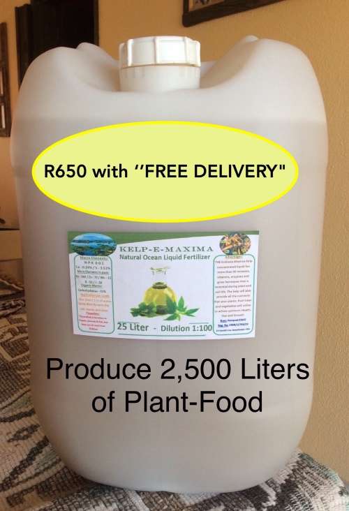 Kelp - 25 Lt *FREE DELIVERY* (Eckl. Maxima) concentrated Liquid - Produce 2,500 Lt Plant-Food