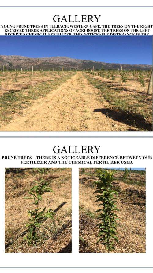 Agri-Boost (3 in 1) :Organic Liquid Fertiliser the 1 Litre produce 200Lt of Nutrient plant/Soil Food