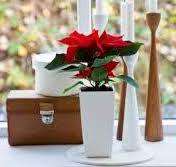 Plant Pots WaterFresh - Self watering High Quality - Colour BLACK