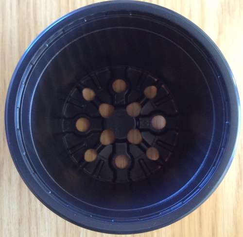 Coloured Plant Pots - Desch Co-ex Colour Pots - 9cm (Colour - WHITE) on the outside and Black inside