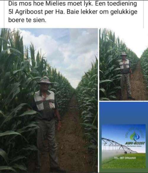 Agri-Boost (3 in 1) :Organic Liquid Fertiliser the 1 Litre produce 200Lt of Nutrient plant/Soil Food