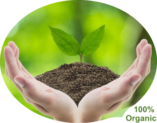 Guano Organic Certified Fertiliser - 2 Litres (Dilution Rate 1:40)