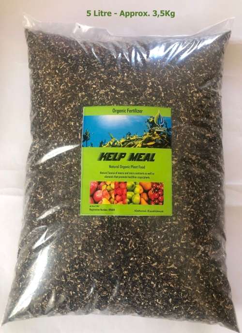 KELP MEAL  : 5 Litres of Fine Organic Natural Fertiliser : (Approx. 3.5Kg) at only R190