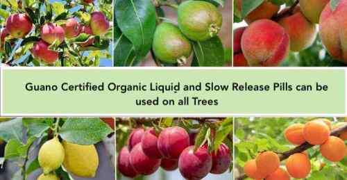 Guano 100% Pure 20 X 25gram Slow release fertiliser pills - provides nutrients up to 4 months