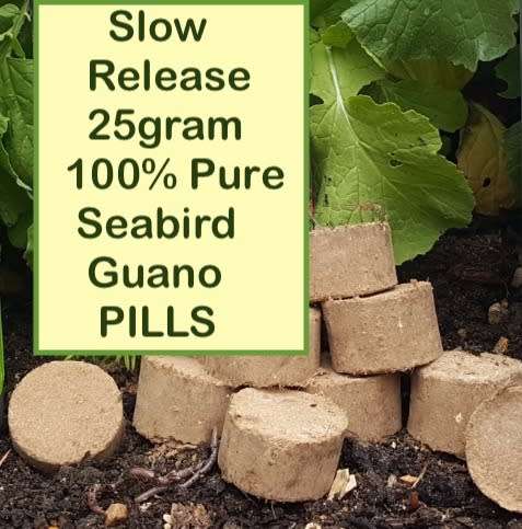 Guano 100% Pure 20 X 25gram Slow release fertiliser pills - provides nutrients up to 4 months