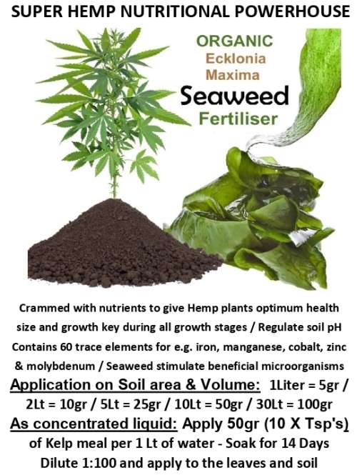 KELP MEAL  : 5 Litres of Fine Organic Natural Fertiliser : (Approx. 3.5Kg) at only R190