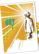 Joy - Francis Chan DVD