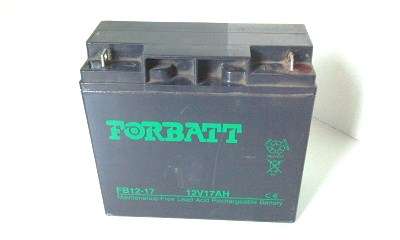 Electric Golf Cart Battery