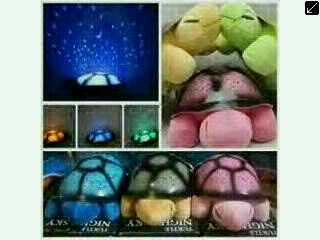 WOW TURTLE NIGHT LIGHT WITH MUSIC