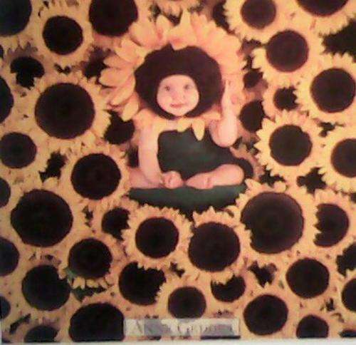 CUTE  BABY  FRAME BY ANNE GEDDES