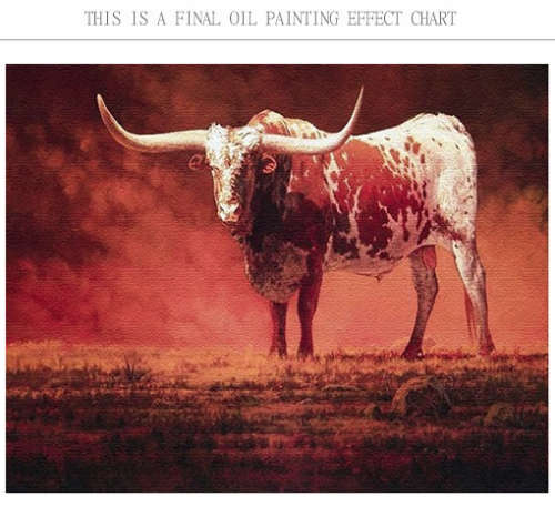 Paint by numbers canvas art cattle Nguni