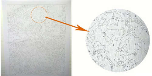 Paint by numbers canvas art cattle Nguni