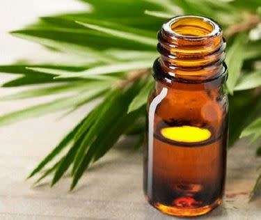 Tea Tree 100% undiluted pure essential oil 500ml