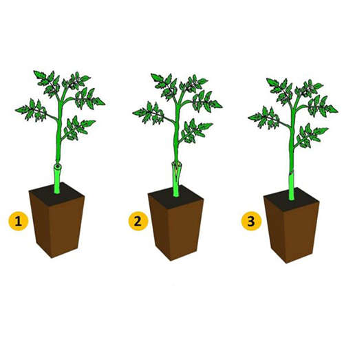 Professional Garden Grafting Tool Pruning Plant Scissors