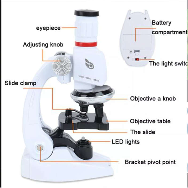 Microscope Kit Magnification 100X 400X 1200X