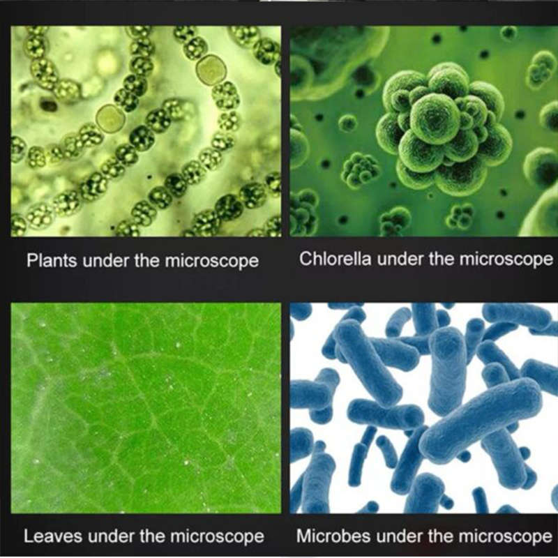 Microscope Kit Magnification 100X 400X 1200X