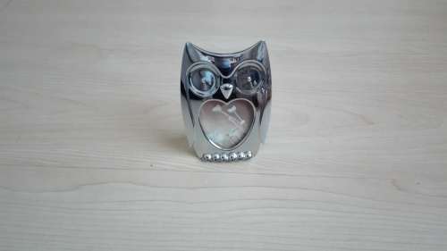 Owl Figurine Photo Frame