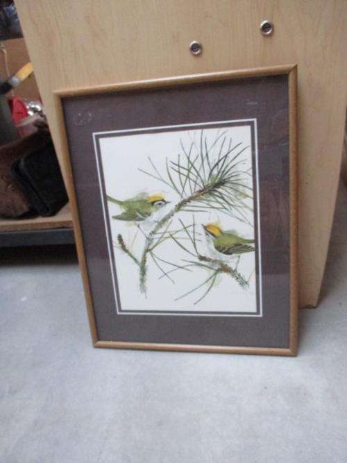 Framed Print : Birds (Mads Stage)
