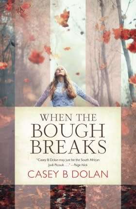 When the Bough Breaks by Casey B. Dolan (Paperback)