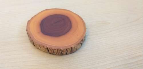 Small Round Wooden Coaster