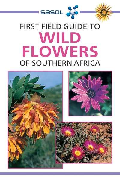 First Field Guide to Wild Flowers of Southern Africa by John Manning (Paperback)