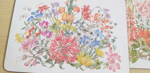 Set of 6 Placemats - Flowers of the Veld (20cm x 25cm)