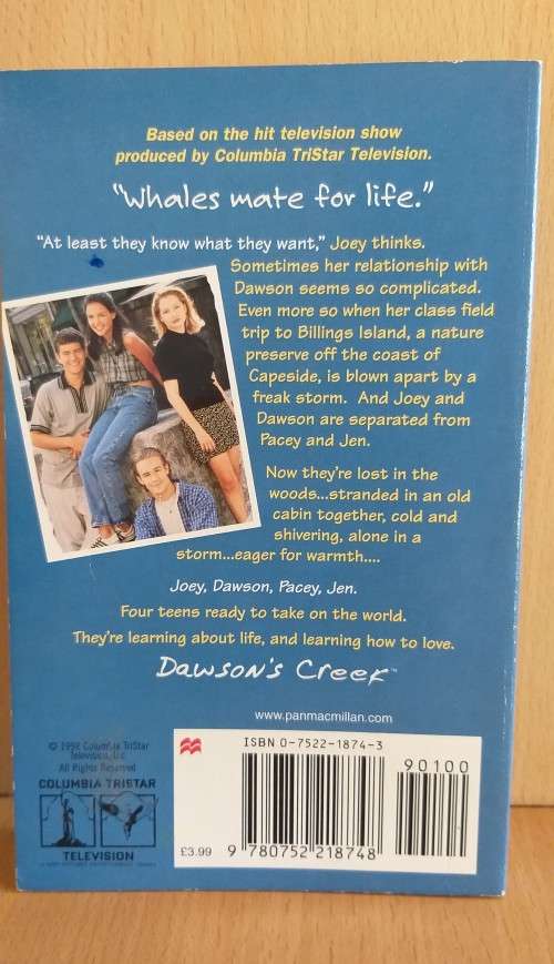 Dawson Creek - The Quiet Before the Storm (Paperback)
