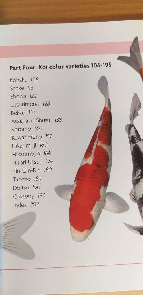 Miniencyclopedia - The World of Koi : Keith Holmes, Tony Pitham, Nick Fletcher (Paperback)