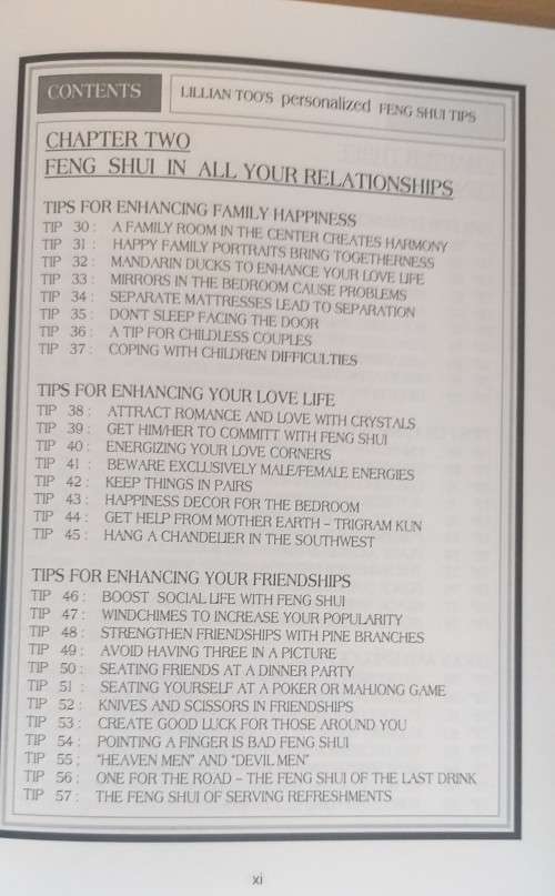 Personalised Feng Shui Tips: Lillian Too`s (Paperback)
