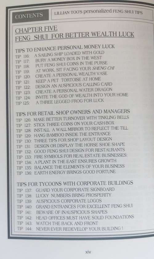 Personalised Feng Shui Tips: Lillian Too`s (Paperback)