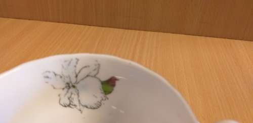 Pretty Tea Cup & Saucer