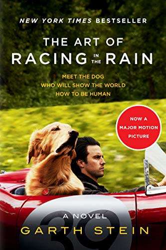 The Art of Racing in the Rain : Garth Stein (Paperback)