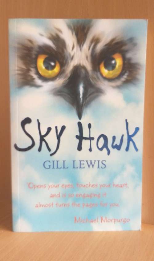 Sky Hawk: Gill Lewis (Paperback)