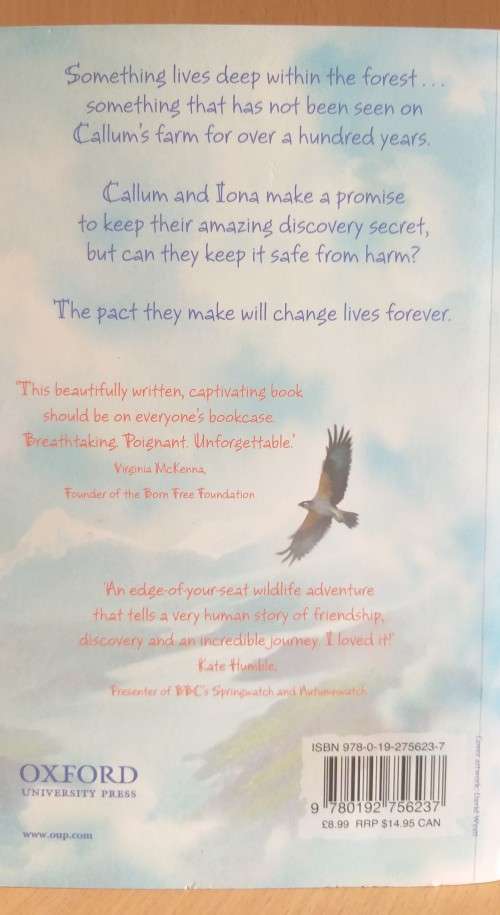 Sky Hawk: Gill Lewis (Paperback)