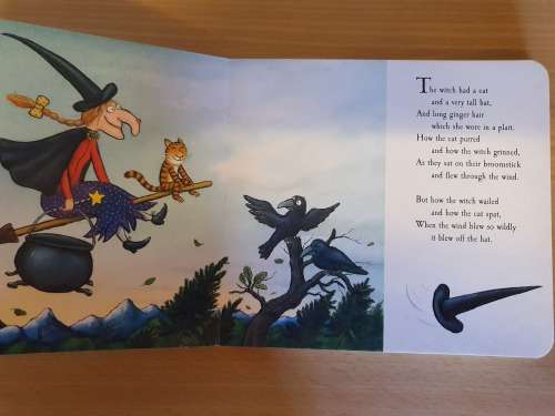 Room on the Broom : Julia Donaldson (Hardcover)