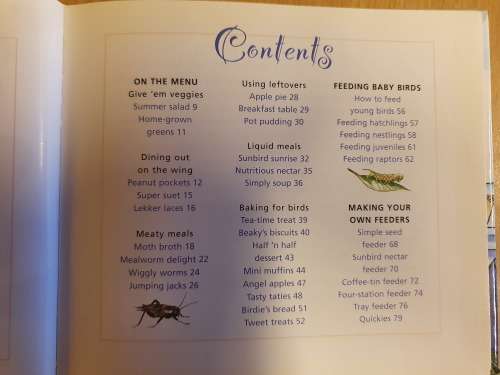 Cooking for Birds: Diane Ward (Hardcover)
