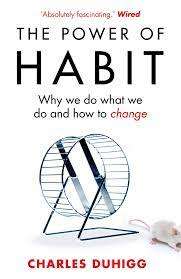 The Power of Habit: Charles Duhigg (Paperback)