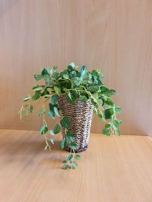 Artificial Plant in a Basket (3 available at R65 each)