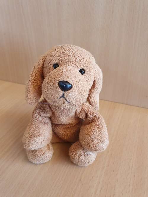 Small Dog Soft Toy