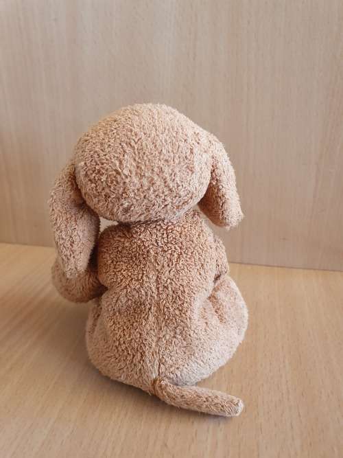 Small Dog Soft Toy