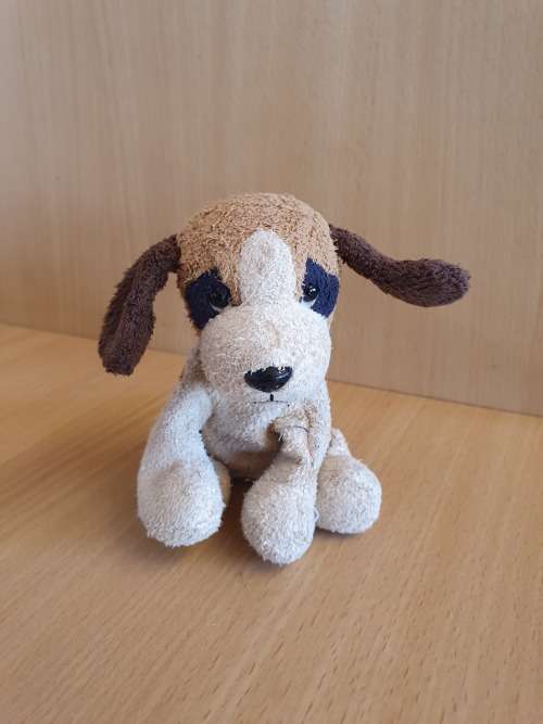 Small Dog Soft Toy