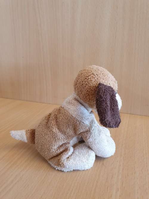 Small Dog Soft Toy