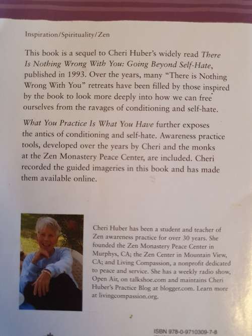 What you Practice is What You Have - A Guide to having the life you want: Cheri Huber (Paperback)