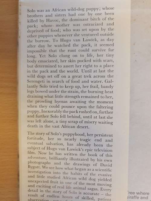 Solo - The Story of an African Dog : Hugo van Lawick (Hardcover)