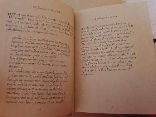 Shakespeare at the Globe (Little Brown Notebook)