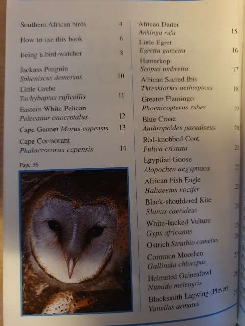 Sasol - First Field Guide to Common Birds of Southern Africa (Paperback)