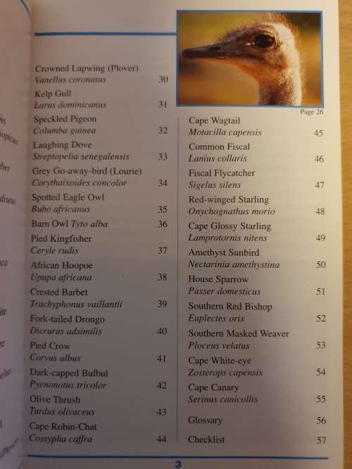 Sasol - First Field Guide to Common Birds of Southern Africa (Paperback)